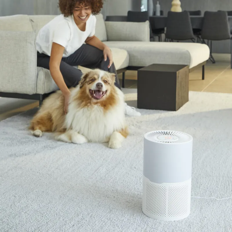 Pure Air Compact 空氣清新機 PT2220 - Image 7